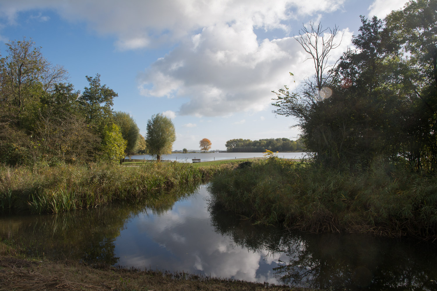 14-de-potten