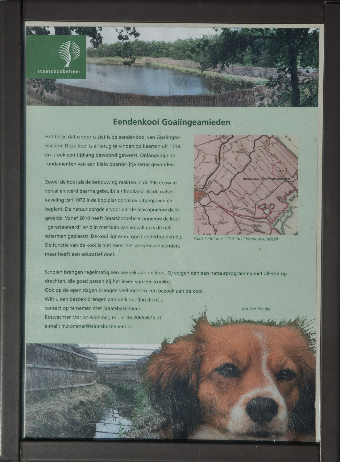 15-eendenkooi