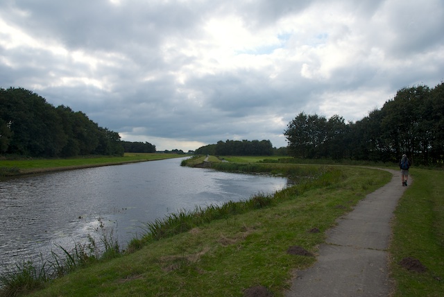 20. Tjonger