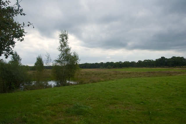 22. Diakonieven