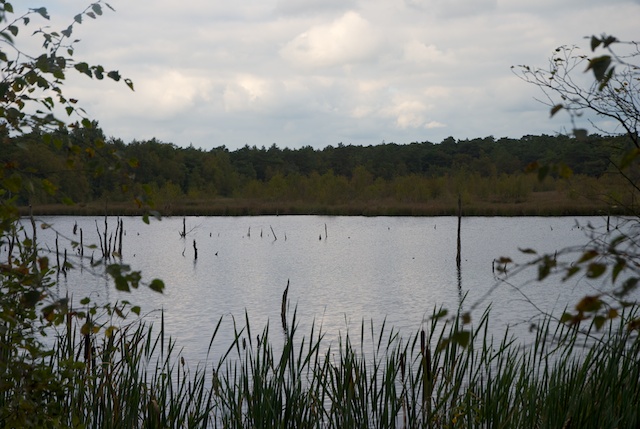 23. Diakonieven
