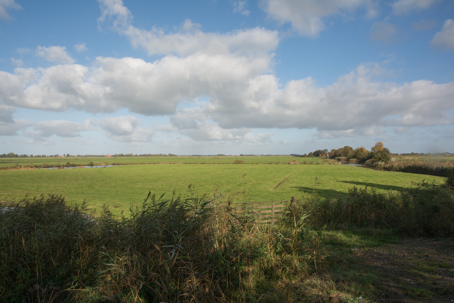 26-landelijk