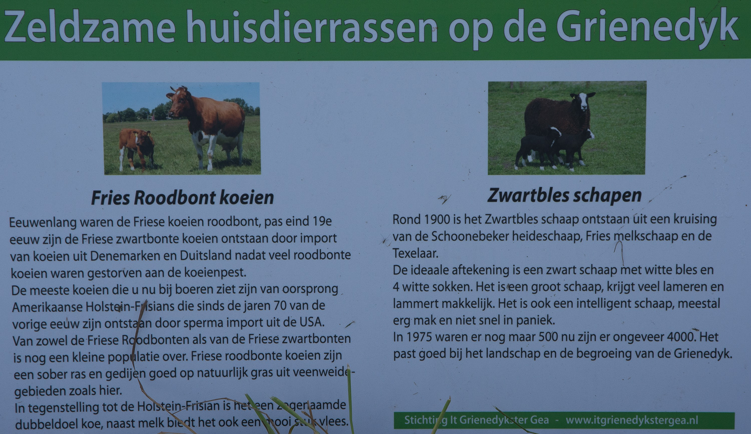 29-info