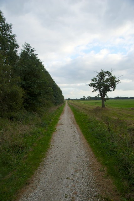 29. Schelpenpad