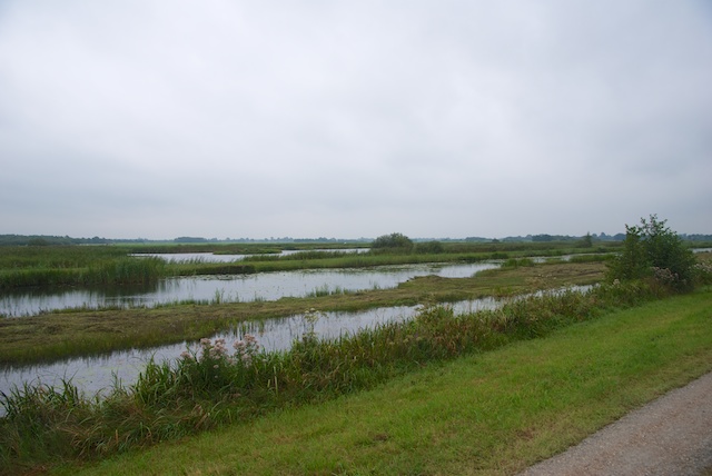 58. Plassen