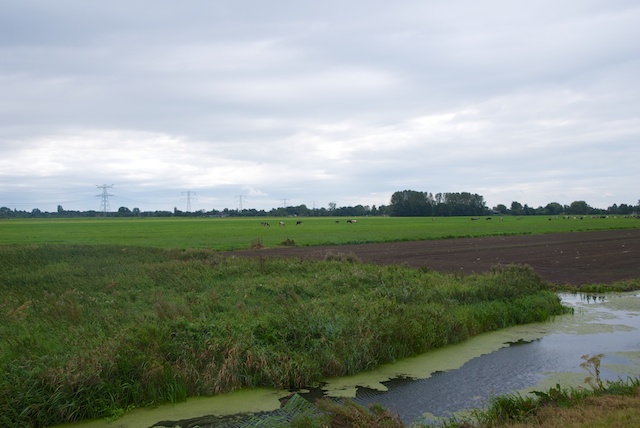 83. Polder