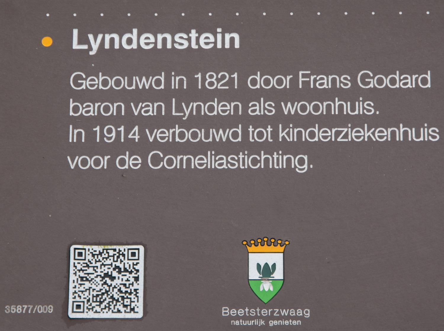 85-info-lyndenstein
