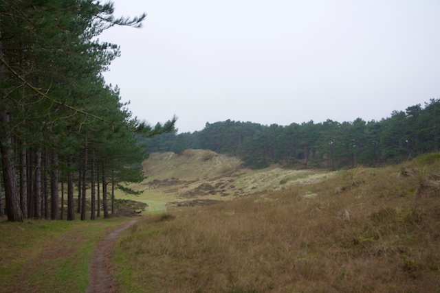 10. Duinen