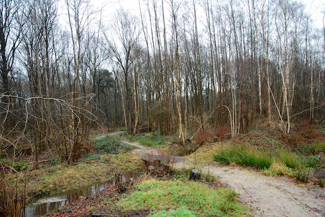 10. Sloten
