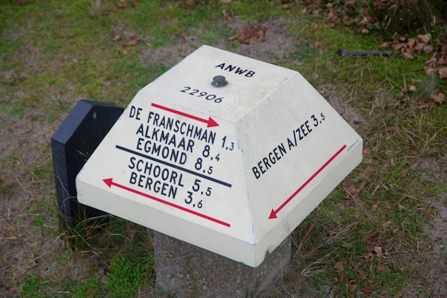 11. Paddenstoel