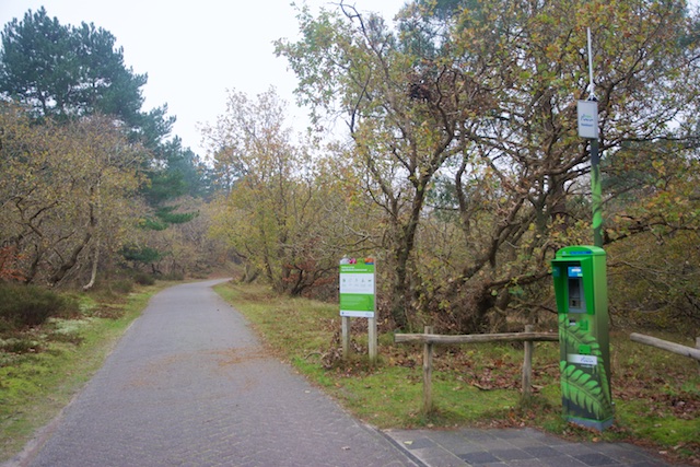 12. Pinapparaat