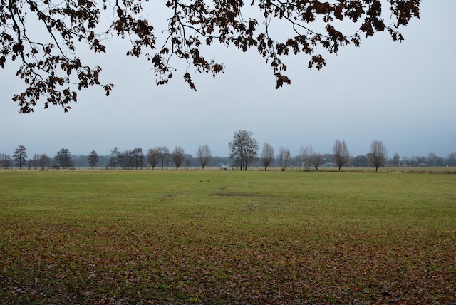13. Landelijk