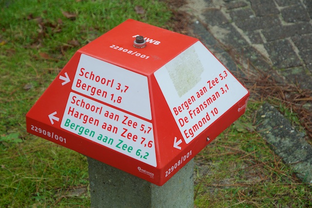 13. Paddenstoel