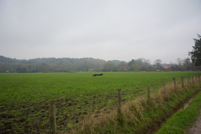 15. Landelijk