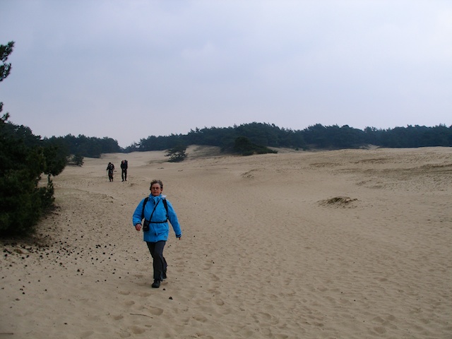 16. Wekeromsche Zand