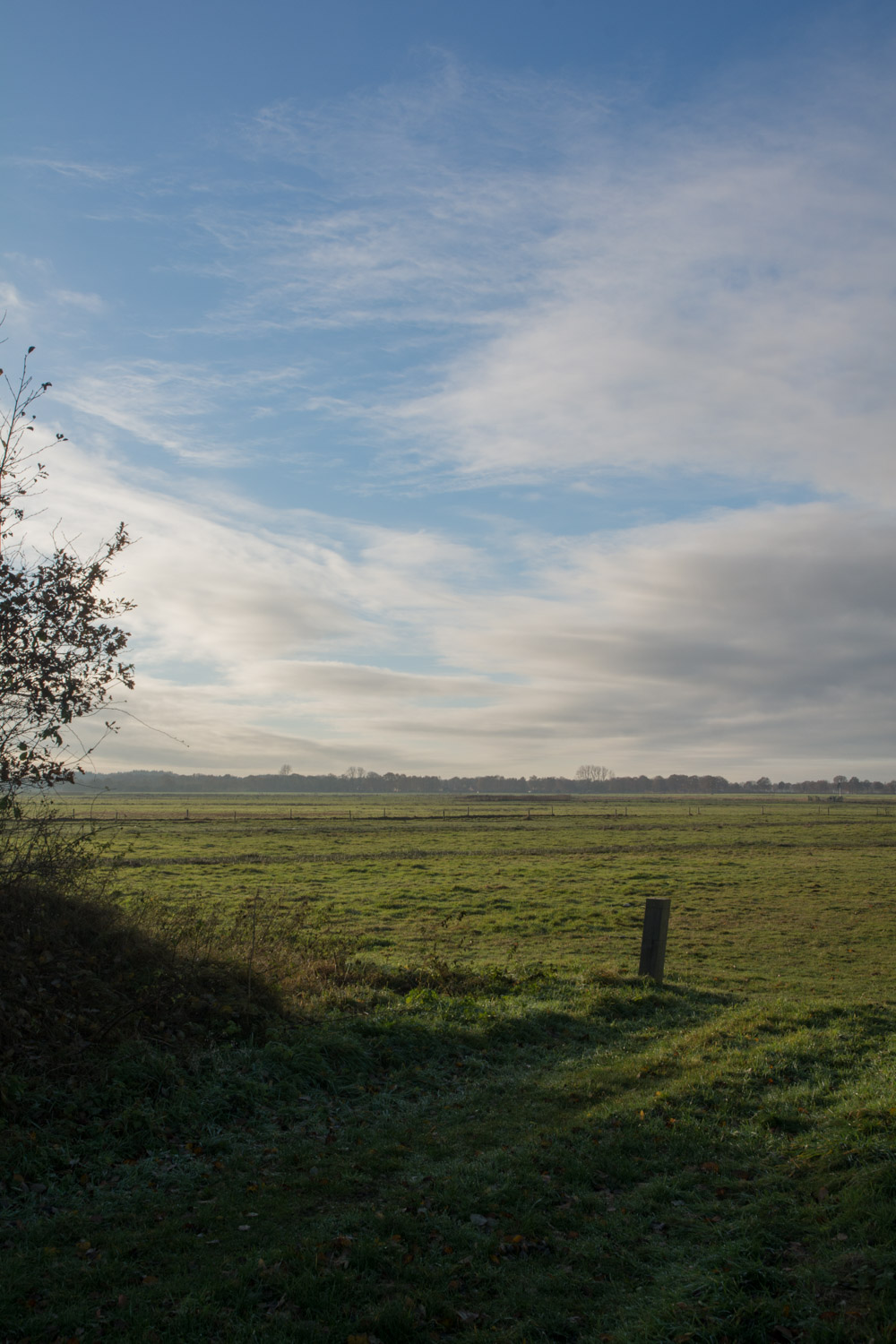 17-landelijk