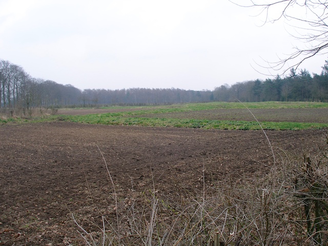 17. Wekeromse Eng