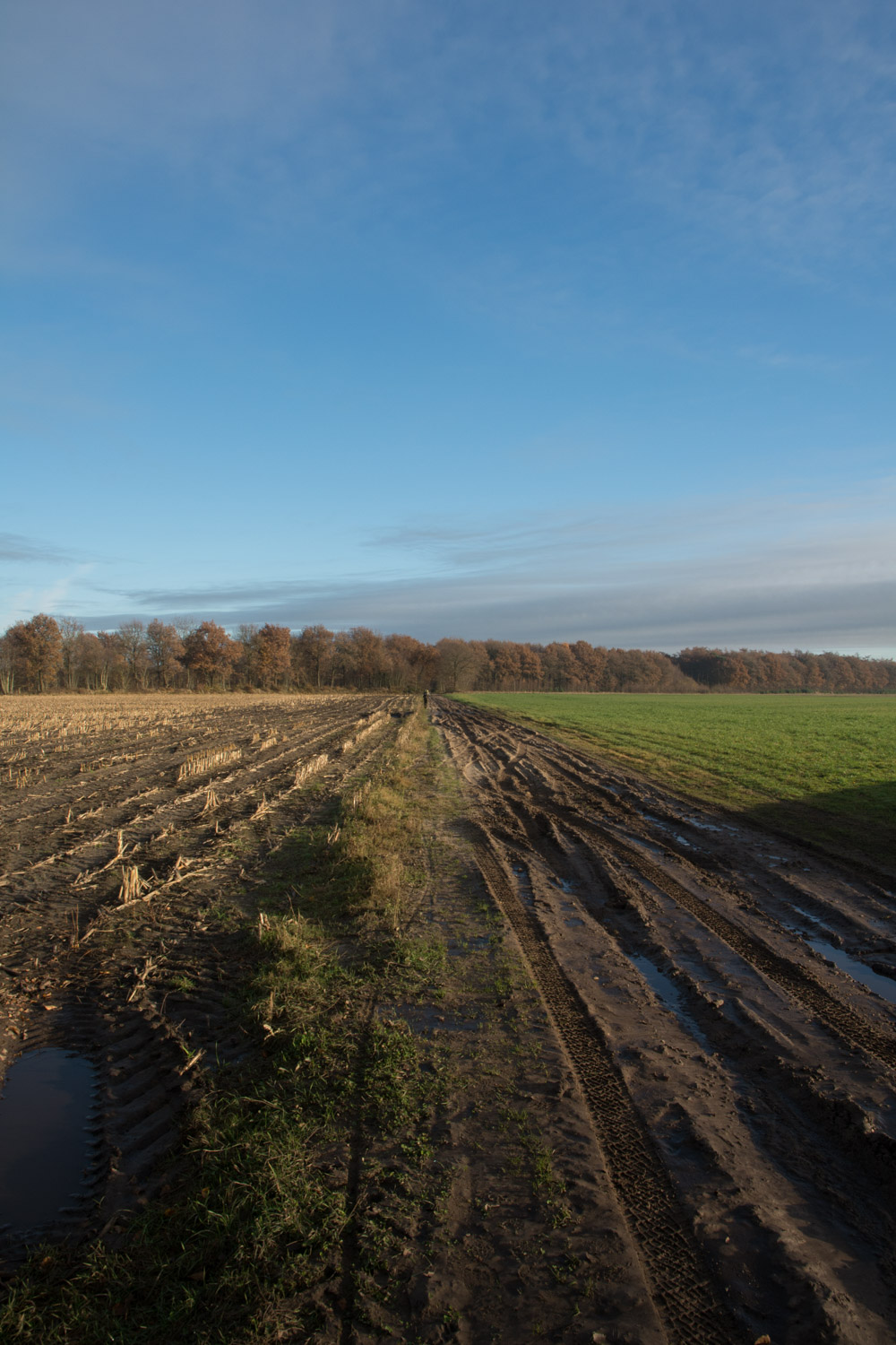18-landelijk