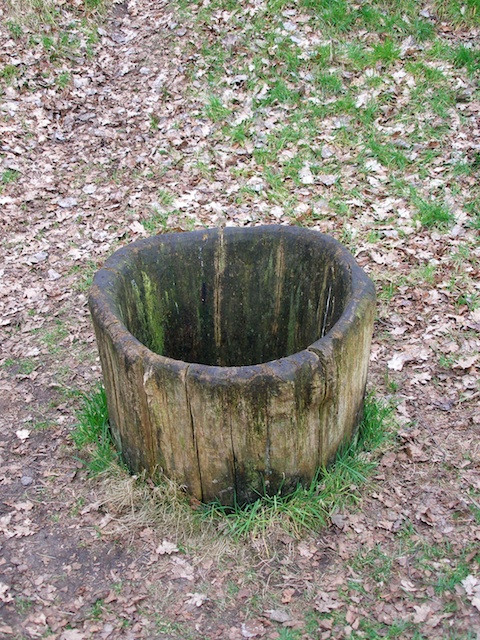 19. Germaanse Put