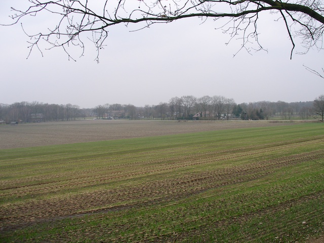 24. Akkerland