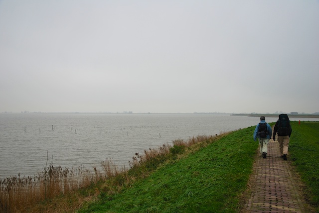 3. Gouwzee
