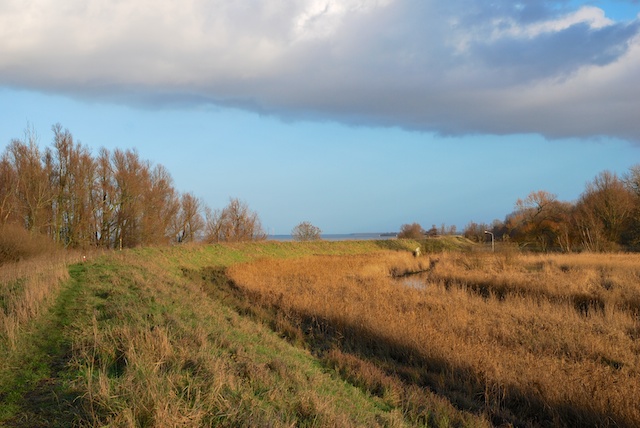 33. Grasdijk