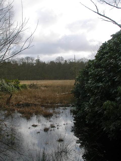 35. Veentje