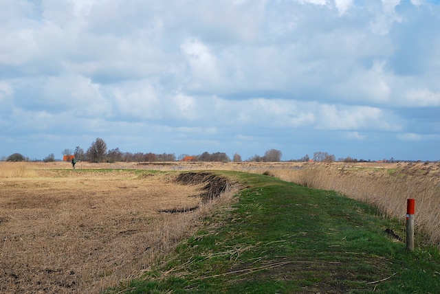 38. Grasdijk