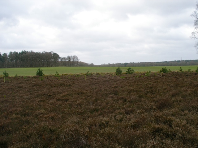 38. Hei
