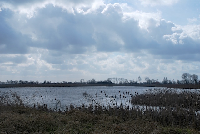 39. Landschap