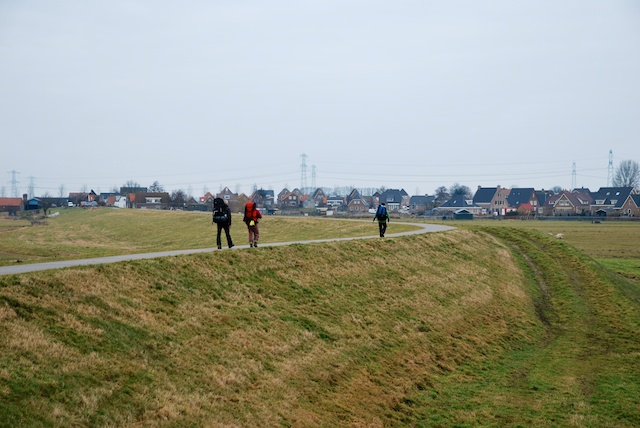 41. Grafhorst