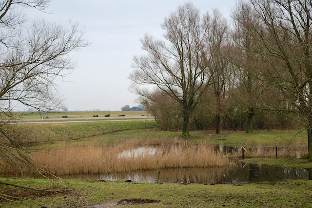42. Wielen