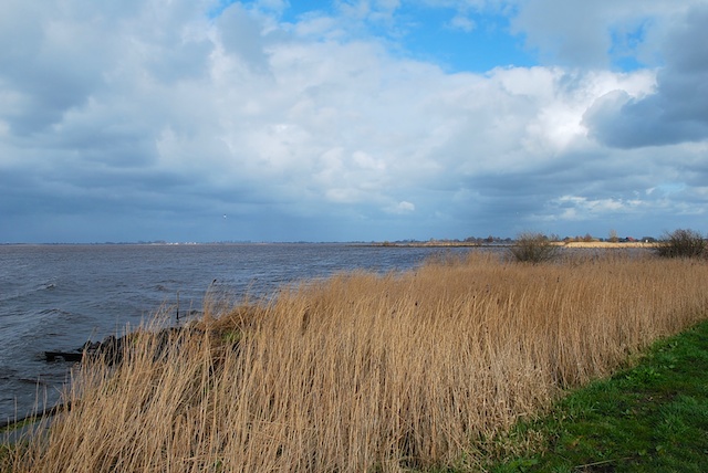 48. Tjeukemeer