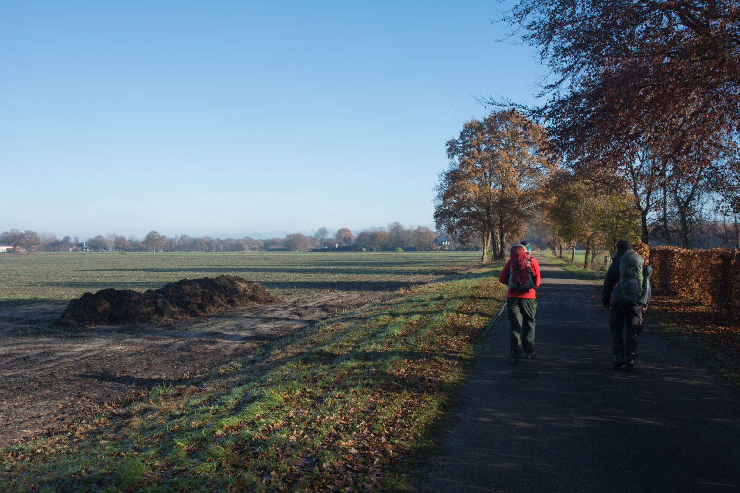 5-landelijk
