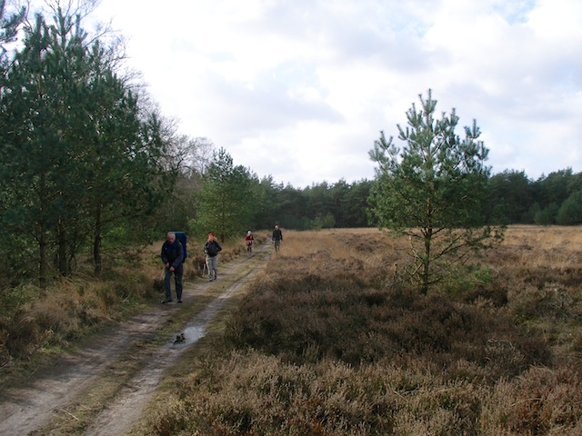 52. Bos en Hei