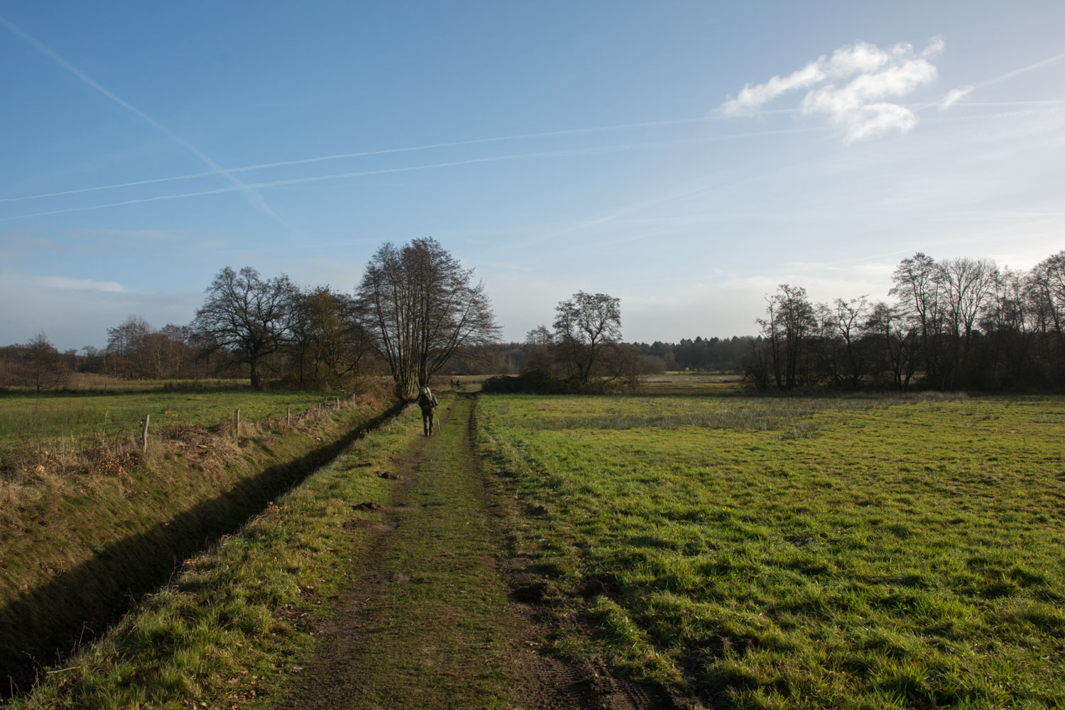 53-landelijk