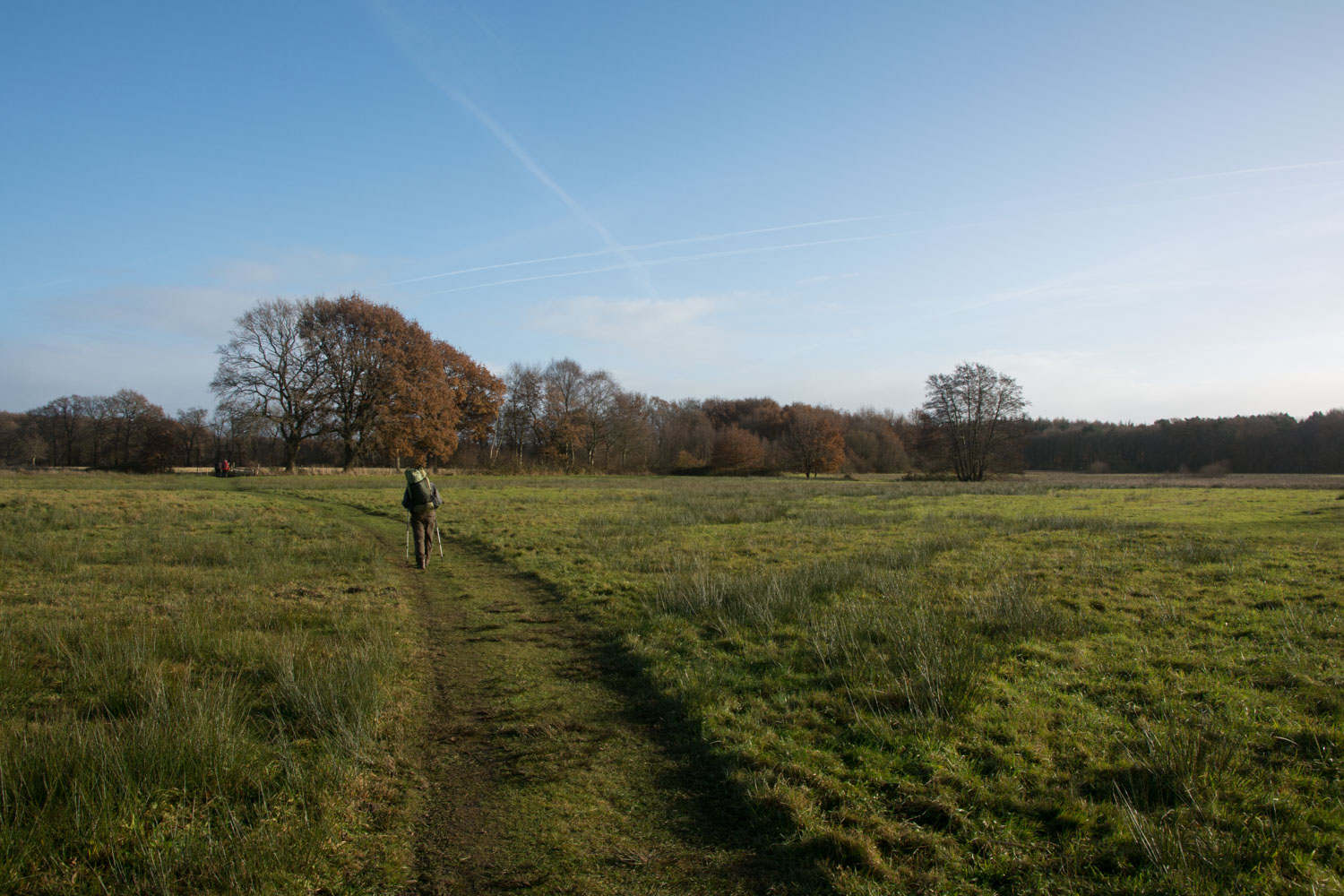 54-landelijk