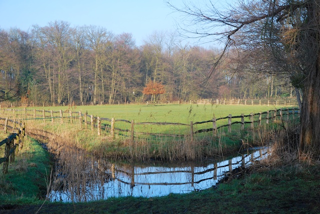 57. Doorkijkje