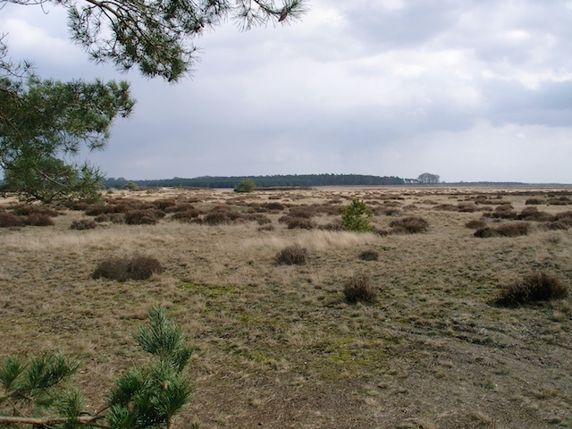 57. Reemsterveld