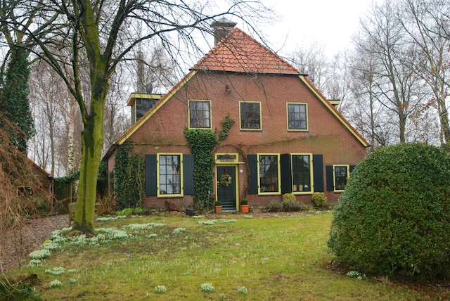 57. Sneeuwklokjes