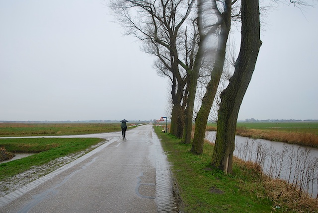 59. Landschap