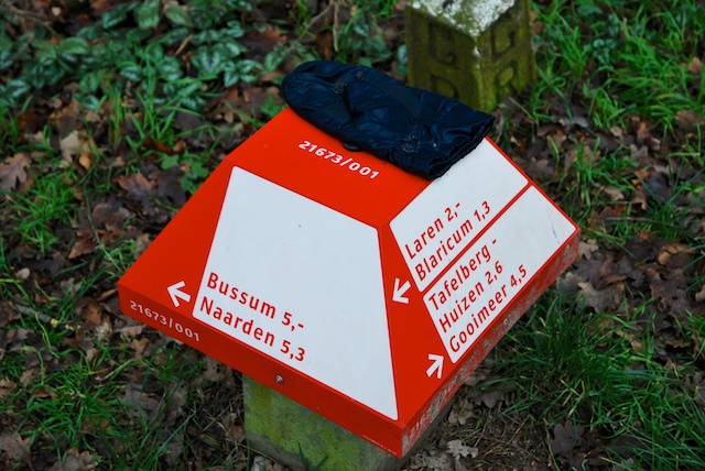 60. Paddestoel