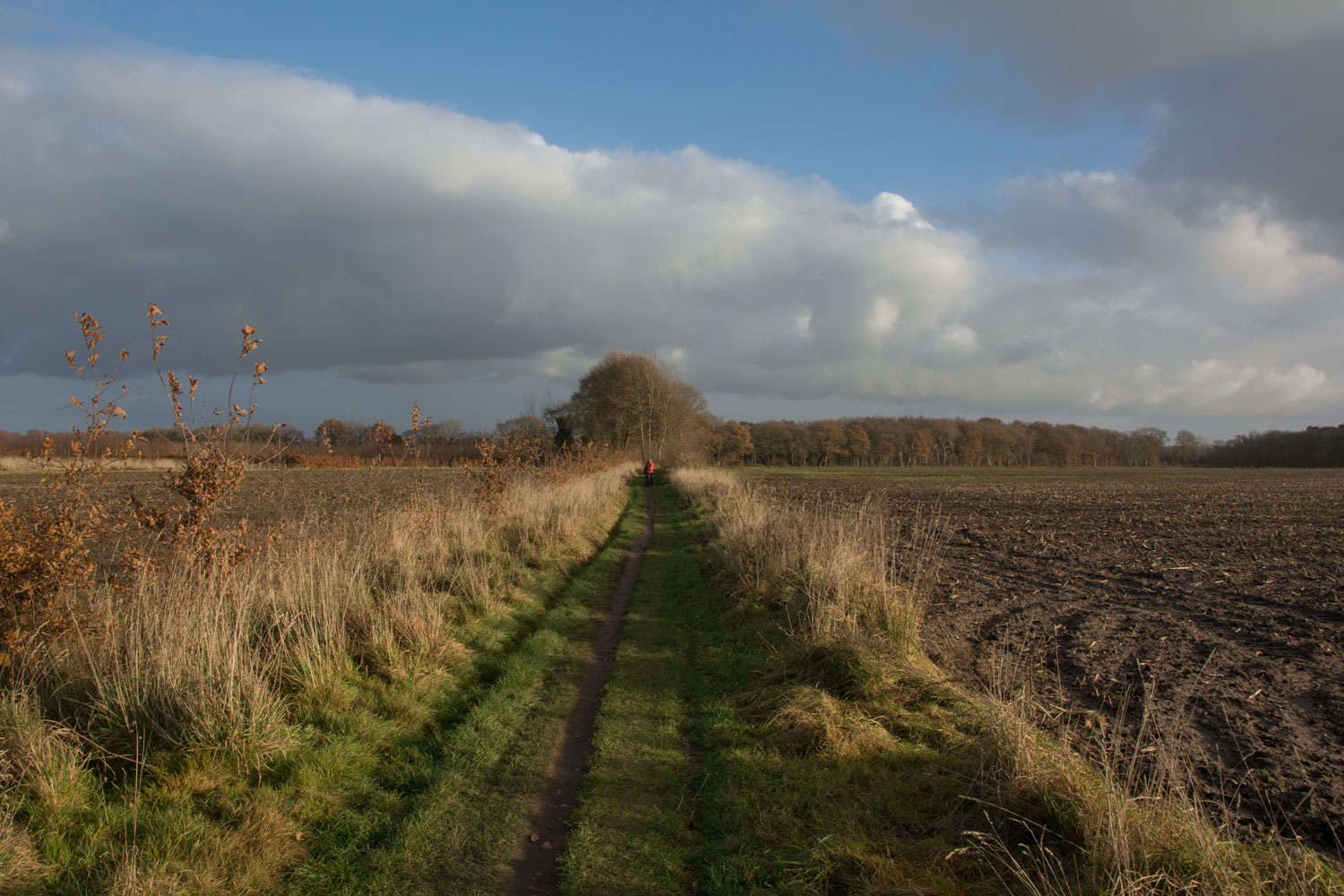 61-landelijk