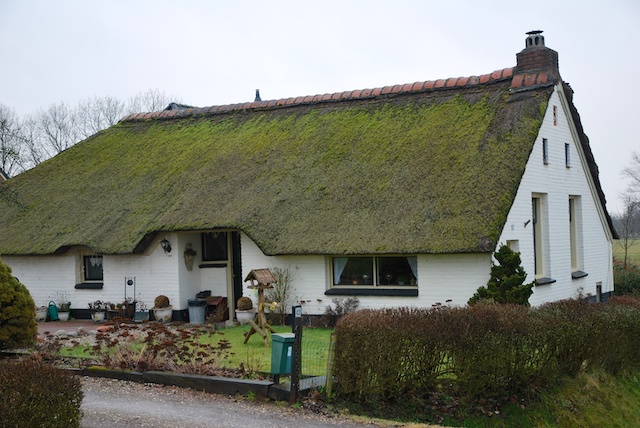 62. Boerderij
