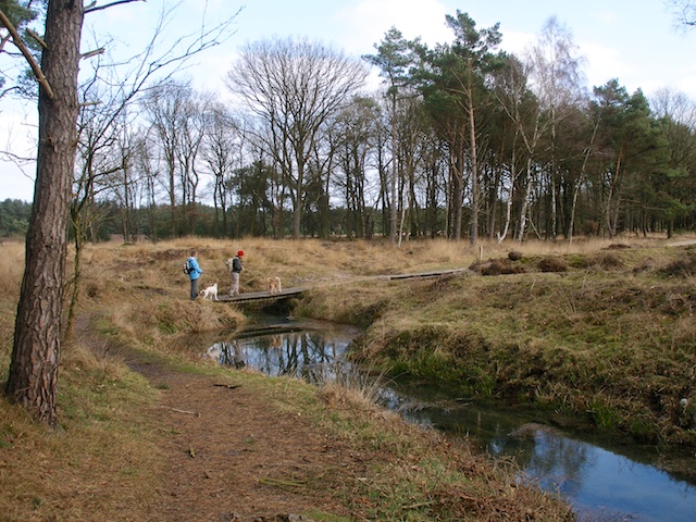 72. Wolfhezerbeek