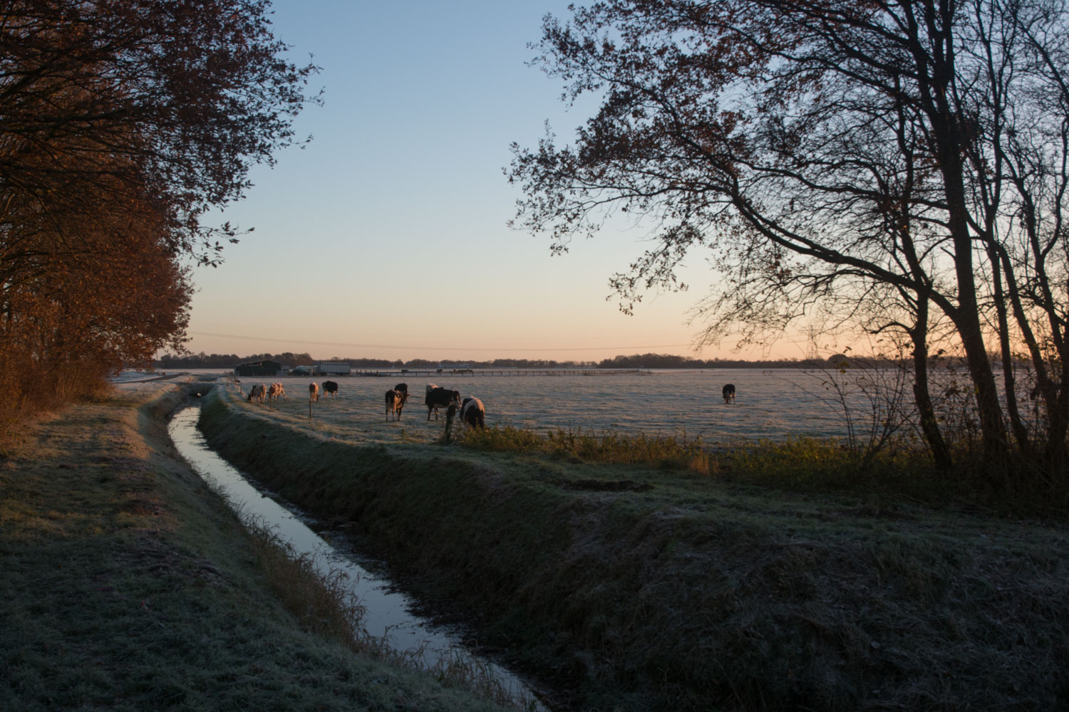 79-landelijk