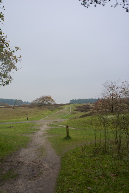 8. Duinen