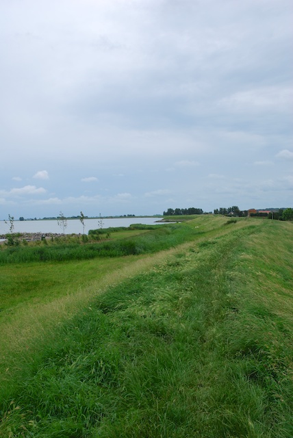 81. Grasdijk