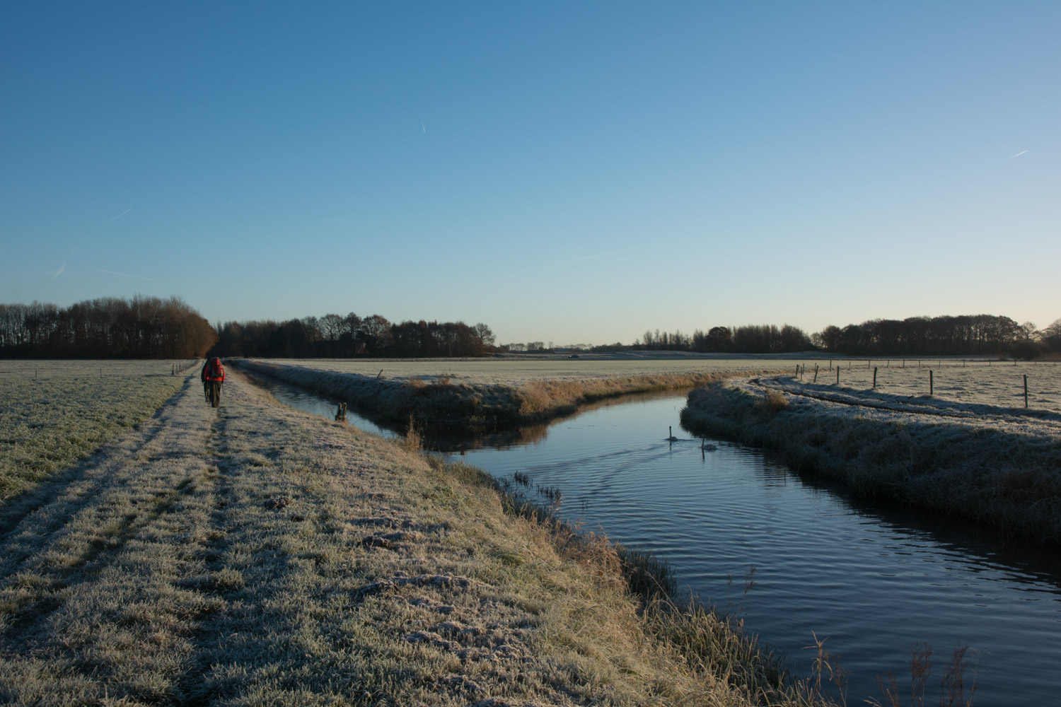 81-landelijk