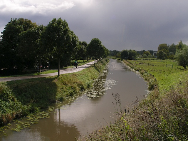 9. Dijk